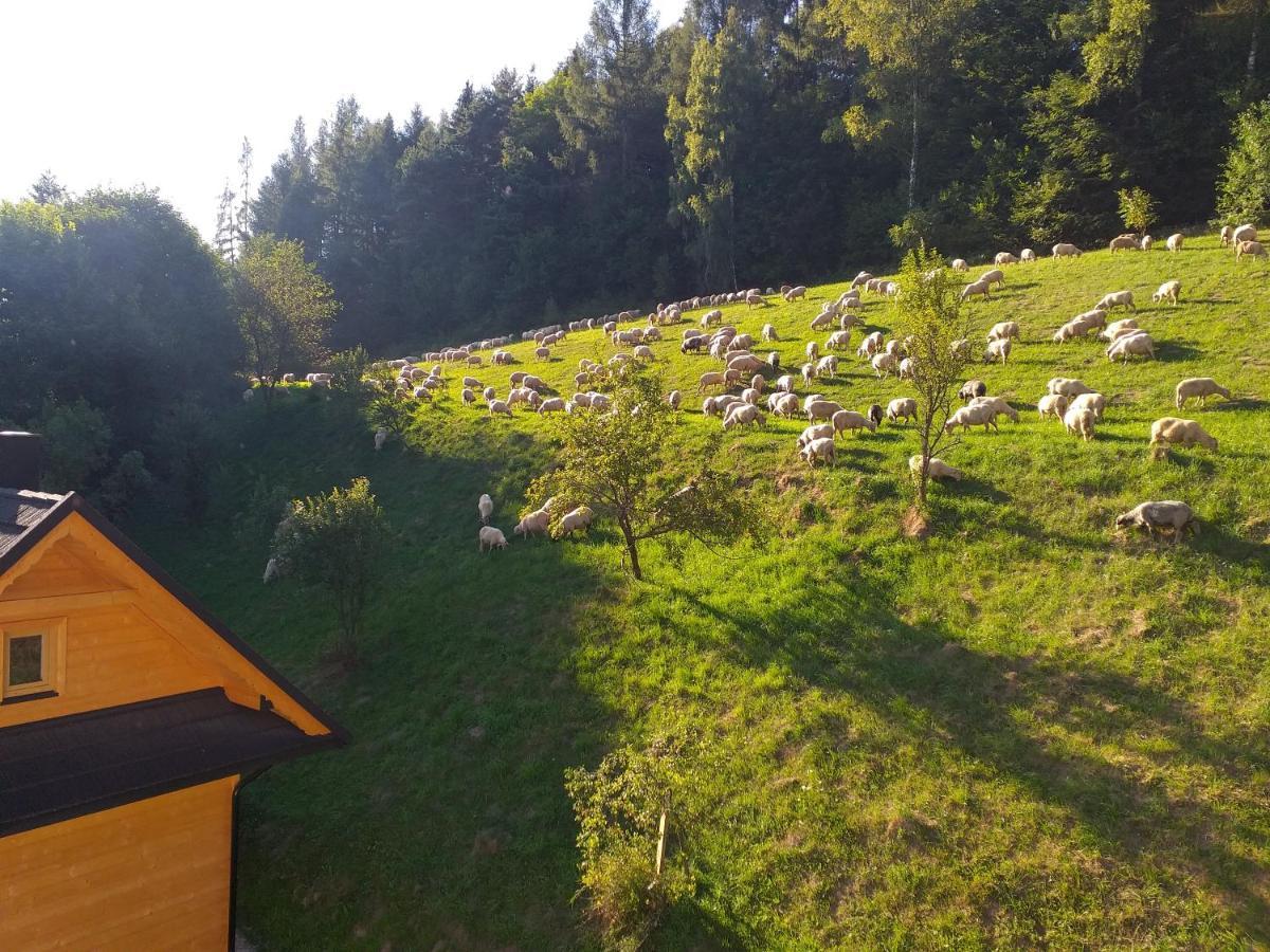 Domek Pod Groniem Mizerna Buitenkant foto