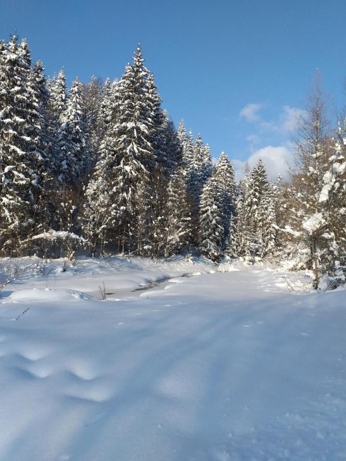 Domek Pod Groniem Mizerna Buitenkant foto